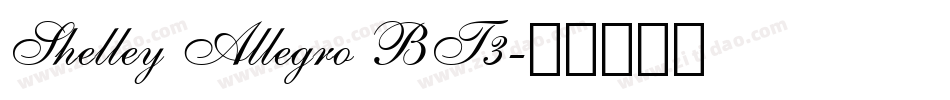 Shelley Allegro BT3字体转换